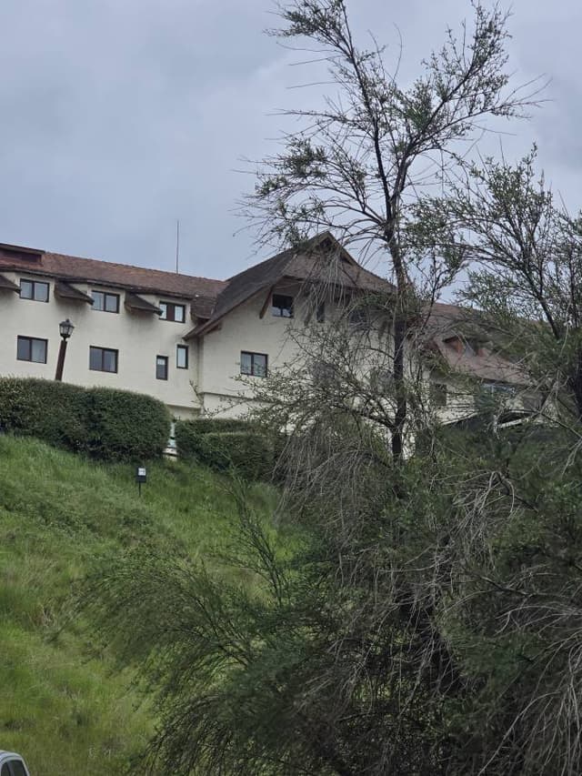 Foto 6 de DIANA M V. (14/11/25)