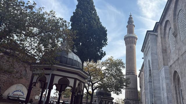 Photo 3 by ahmad H. (10/20/25)