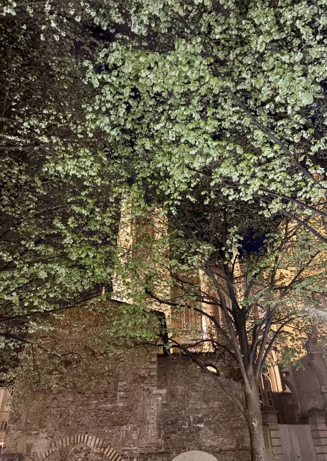 Cetin G. tarafından 7 fotoğraf (26.03.26)