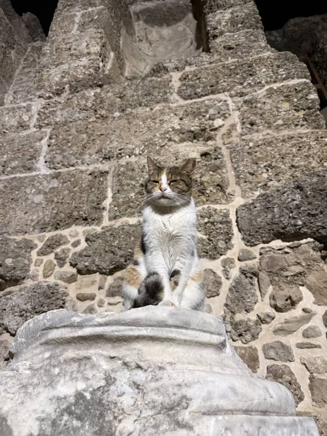 Photo 5 by Rianne K. (10/20/25)