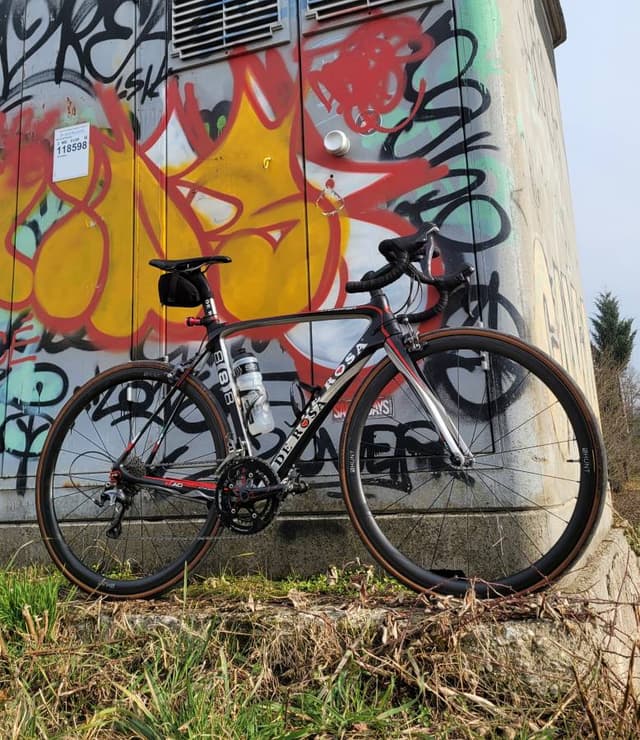 Photo by Michael R. (2/5/26)