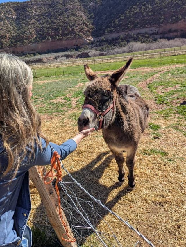 Photo 2 by kelly H. (3/11/26)