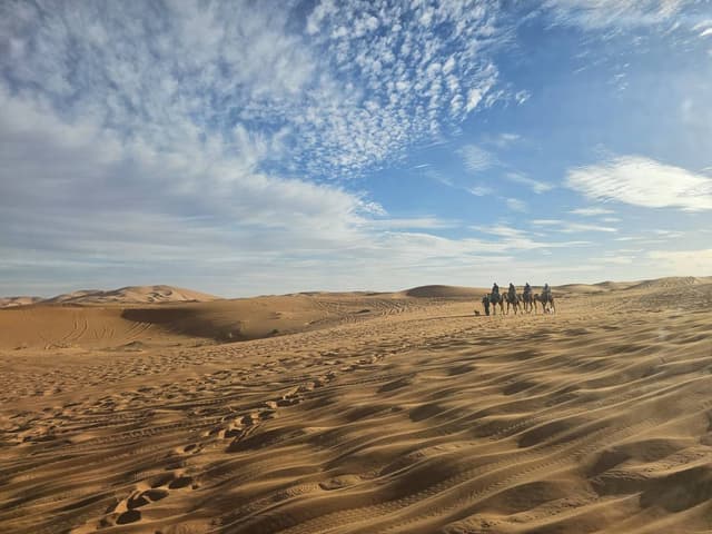 Foto 10 di Daniel D. (19/01/24)