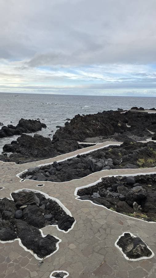 Fotografia 12 realizată de Cristina M. (06.12.25)