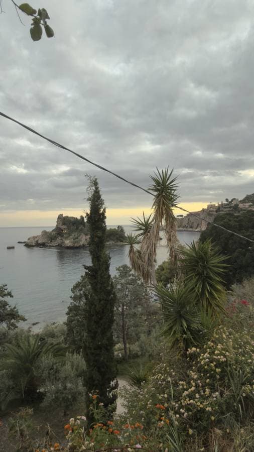 Foto 5 de Luiz Francisco F. (30/10/25)