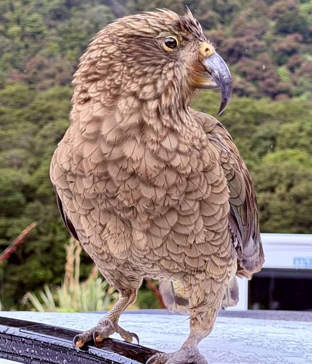 Photo 9 by Jacqueline R. (2/21/26)