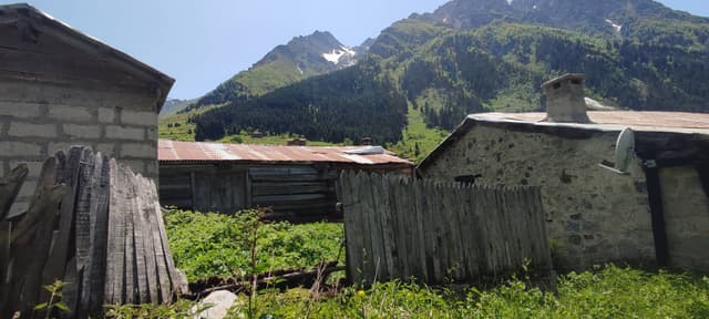 mehmet halit I. tarafından 4 fotoğraf (10.06.25)