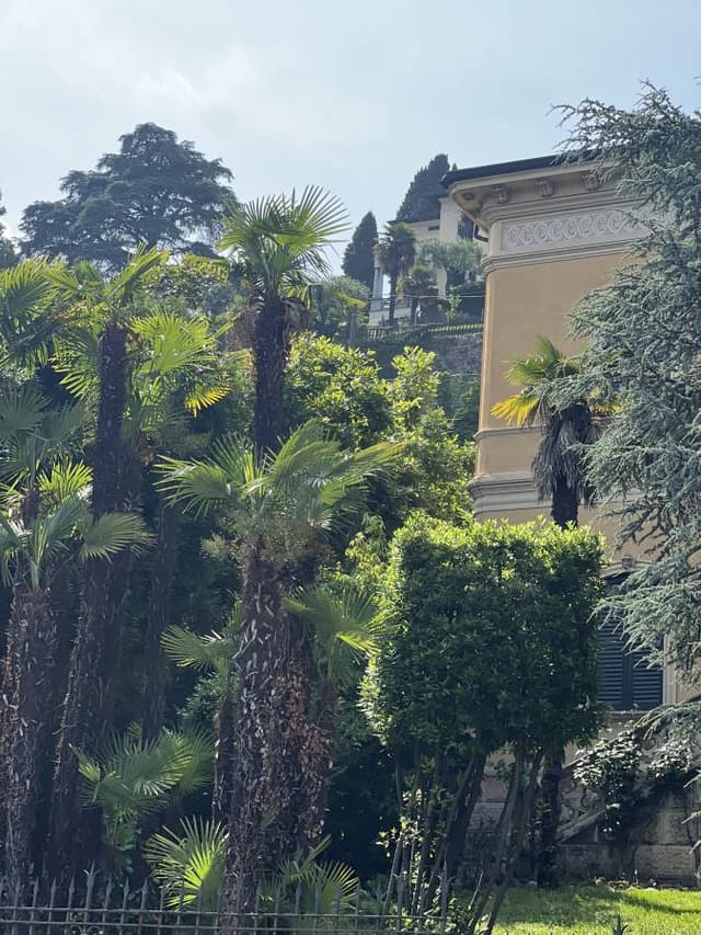 Fotografia 2 realizată de Mihai G. (19.06.25)