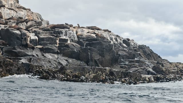 Photo by JIANYU C. (3/21/26)