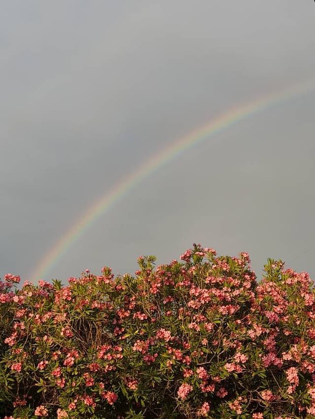 Fotografia 2 realizată de Silvian S. despre închirierea unei mașini Fiat Panda în Corfu (12.06.23)