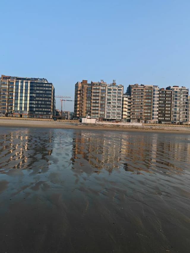 Photo 4 by Pal K. (3/23/26)