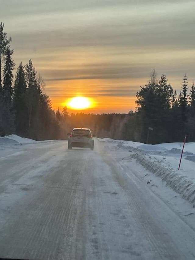 Foto di Leandro P. (25/01/25)