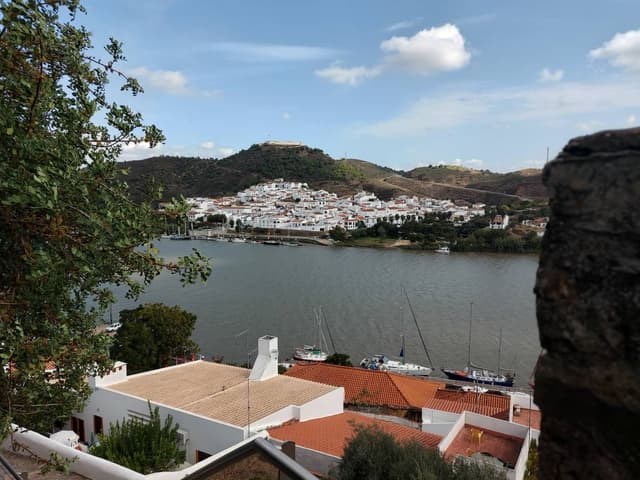 Foto 4 van Frans D. (1-11-24)