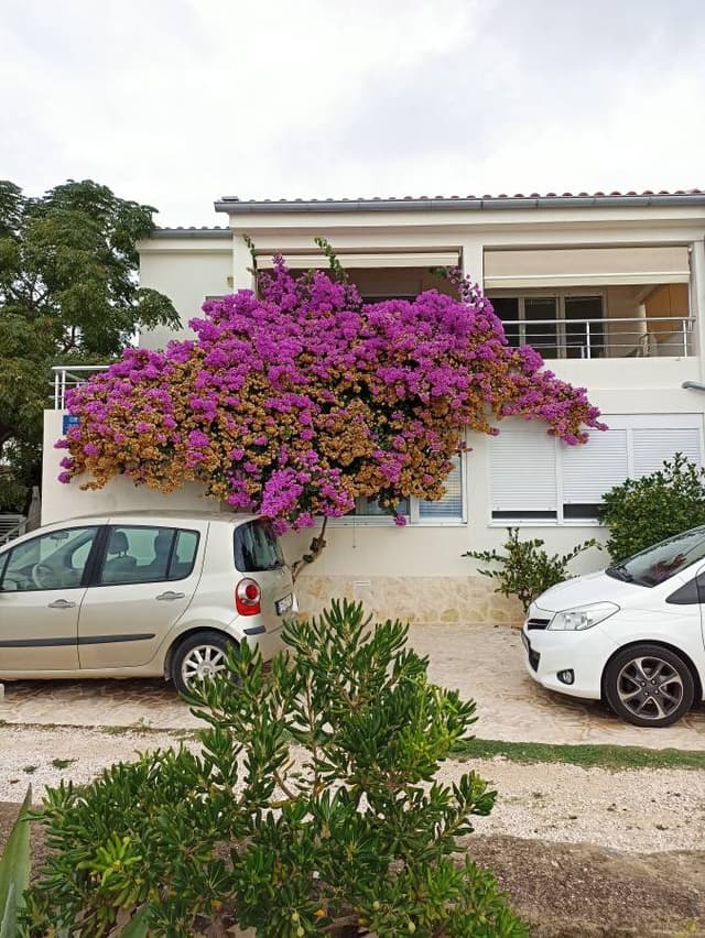 Photo 3 par Elisabeth D. sur la location d'un Volkswagen Polo à Zadar (30/09/22)