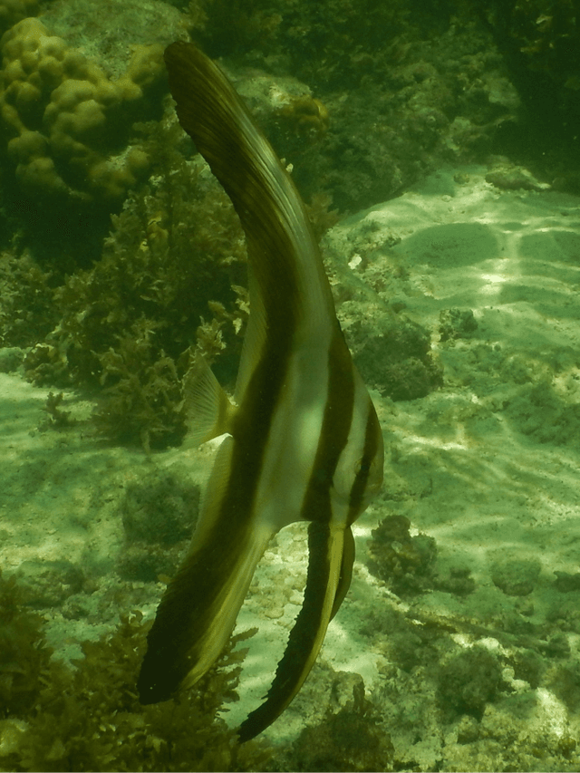 Foto 5 von Roland Reinhard B. (4.2.26)