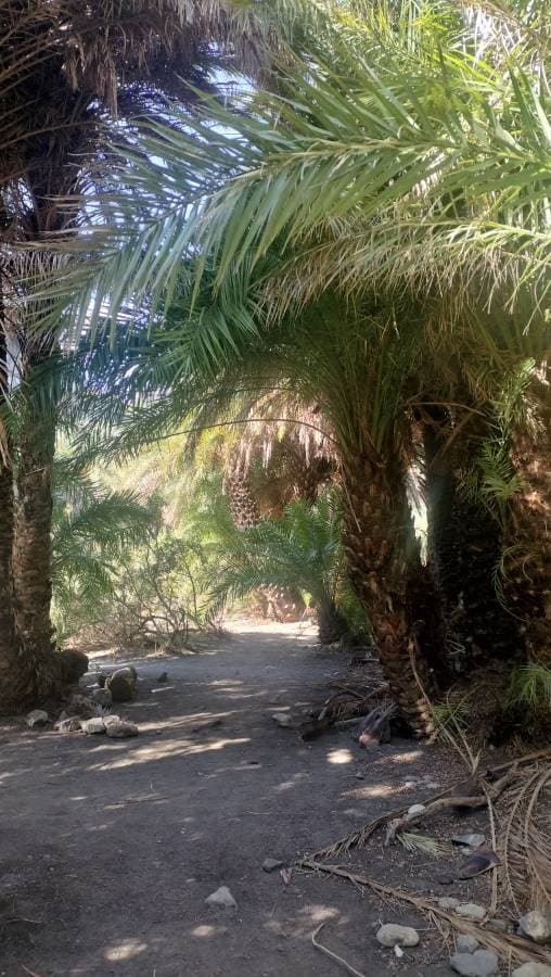 Fotografia 5 realizată de Silvia G. (09.10.25)