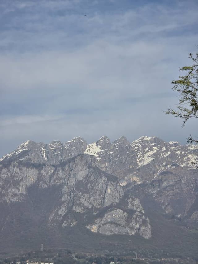 Nuotrauka 2, pateikta Virginija B. (26-04-09)