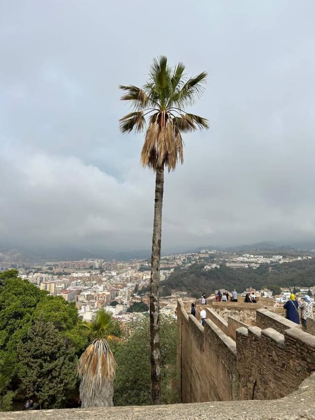 Photo 2 by Barry F. about hiring a Opel Corsa in Malaga (24/10/24)