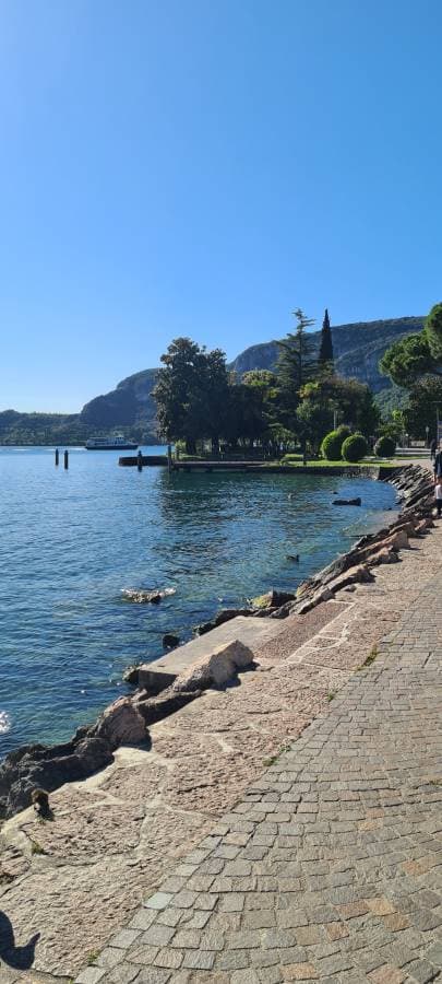 Nuotrauka 9, pateikta Marina G. (26-05-18)