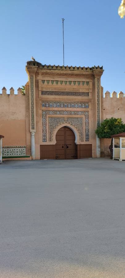 Foto 5 di FRANCESCO NATALE B. (25/11/24)