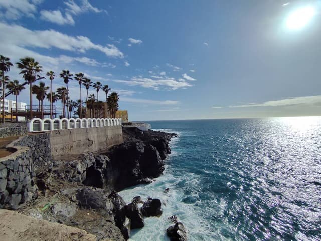 Nuotrauka 5, pateikta Algimantas K. (25-12-10)