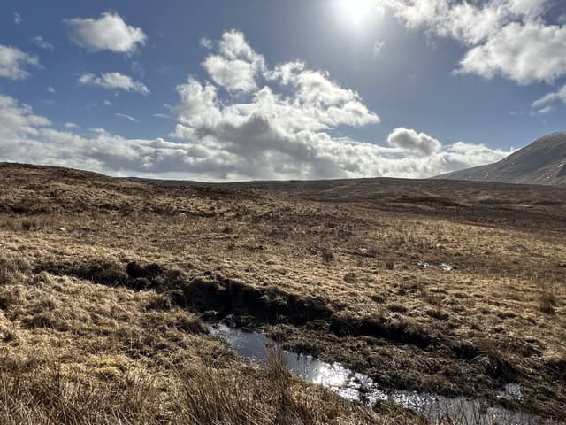 Photo 1 by phani K. about hiring a Kia Ceed in Stirling (12.04.23)