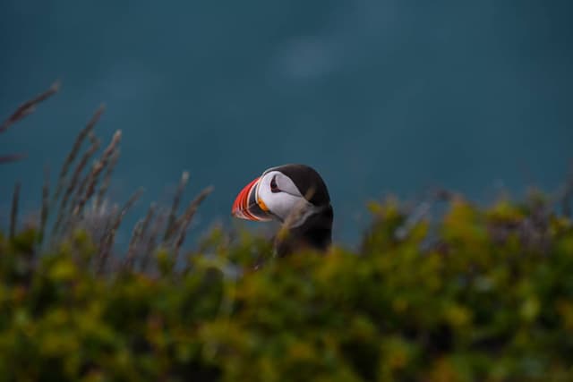 Foto 5 od Adam V. o pronájmu Suzuki SX4 S-Cross na Islandu (6/26/25)