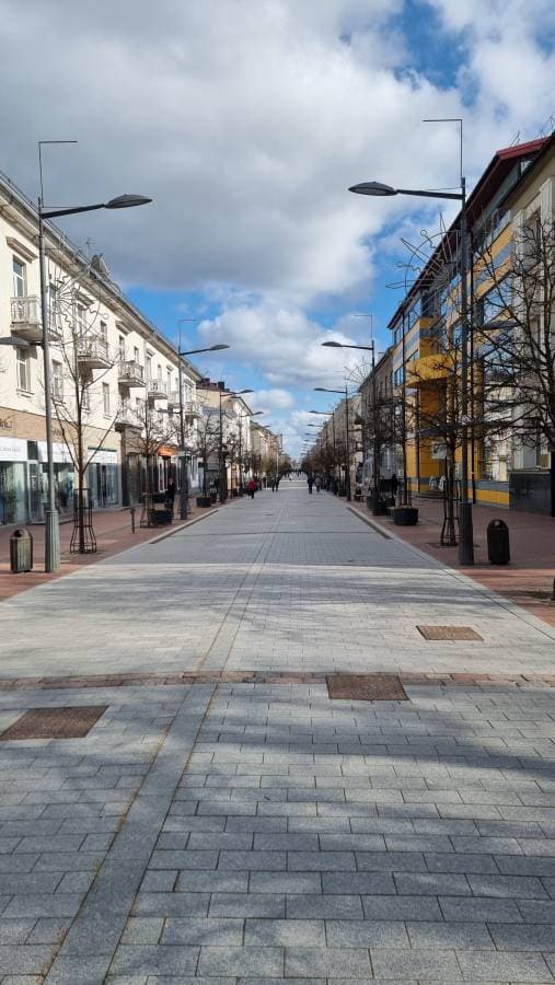 Photo 4 by ZIVILE K. about hiring a Volkswagen Golf in Kaunas (24.04.24)