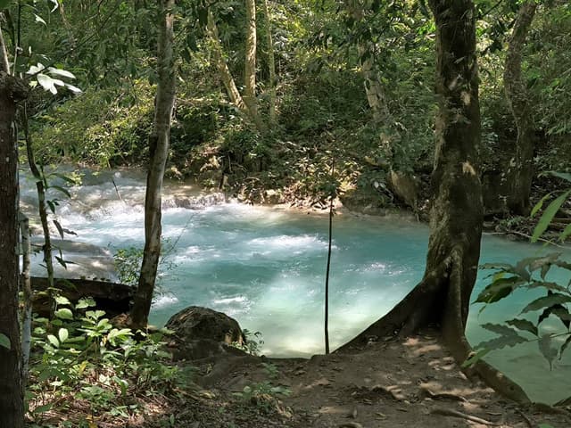 Photo 5 by Jaime M. (11/11/25)