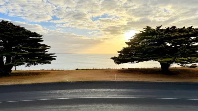 Photo 4 by Somil G. (4/7/25)