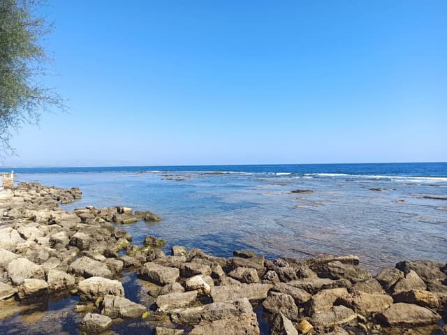 Zoltan S. fényképe (23. 10. 14.)