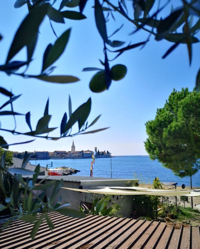 Photo 3 by Malcolm T. about hiring a Renault Clio in Pula (01/10/24)