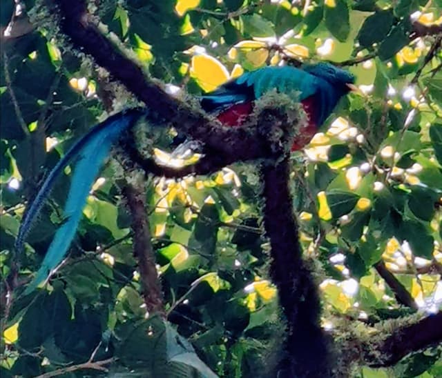 Photo 3 par Jean pierre R. (19/02/24)