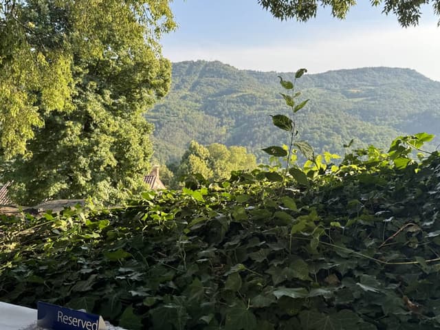 Photo 5 by Scott M. (7/17/26)