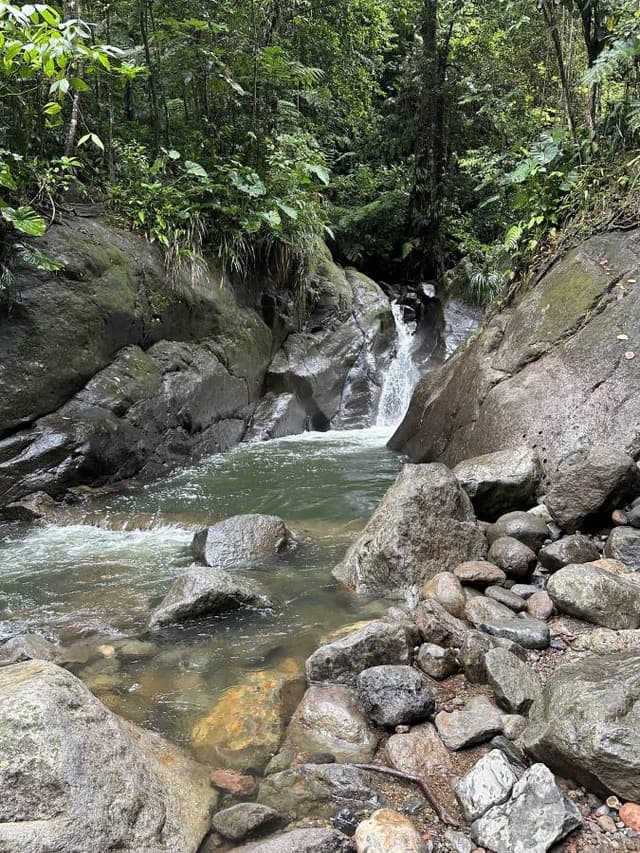 Photo 10 by Julie T. about renting a Dacia Duster in Guadeloupe (11/20/23)