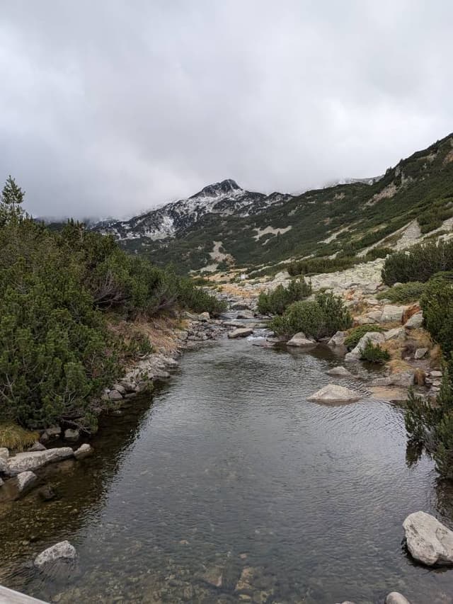 Photo 2 by Reinis P. (10/29/25)