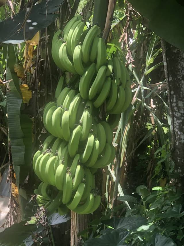 Photo 5 par Yvelise M. (21/09/25)