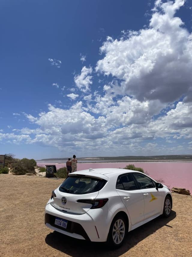 (25/1/31),Ting Y. 拍攝的照片