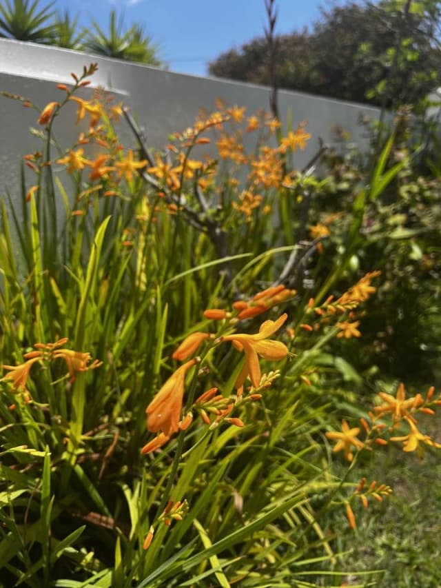 Marta H. fényképe a(z) Peugeot 208 autó bérléséről itt: Lisszabon repülőtéren (25. 07. 07.)