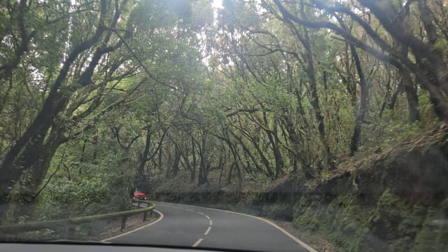 Photo 2 by Peter F. (4/13/26)