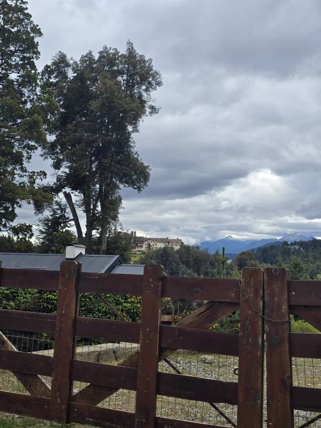 Foto 7 de DIANA M V. (14/11/25)