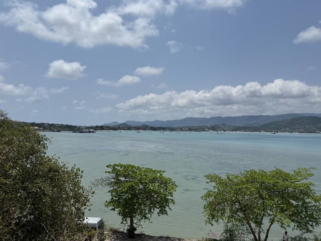 Photo 5 by Ricky B. (4/1/26)