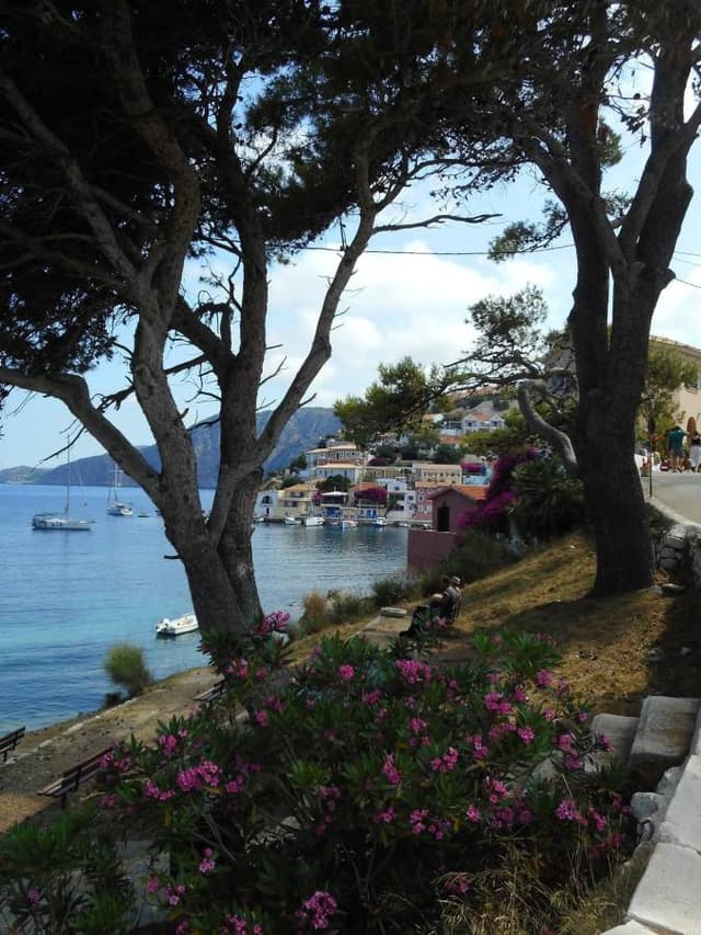 Foto 6 di giuseppe P. (01/07/25)