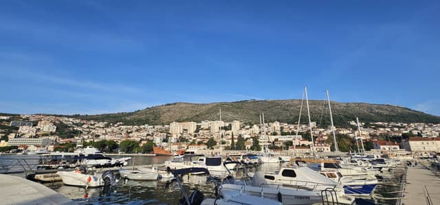 YONGWOO S.의 사진 4 (24. 11. 7.)