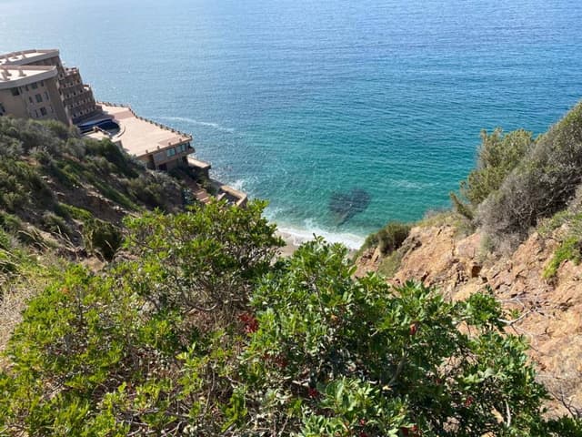 Fotografia 5 realizată de Carmen P. (23.09.22)