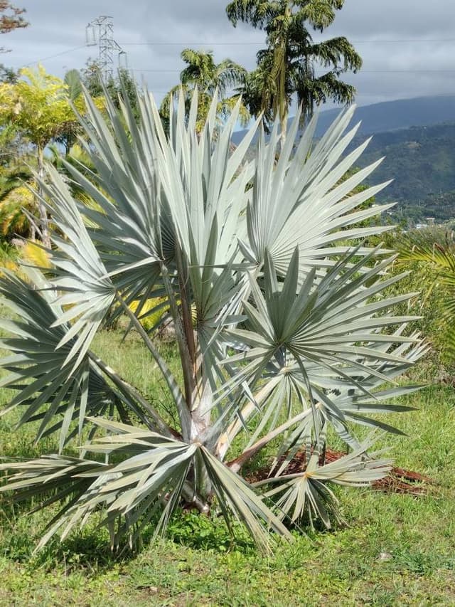 Photo 6 par Remi C. (15/10/25)