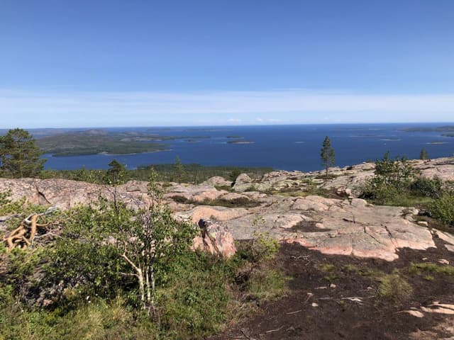 Foto 2 av Peter F. (23-07-30)