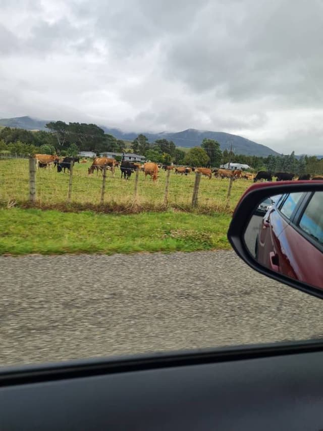 Photo 5 by Kozue K. about renting a Toyota Corolla in Wellington (4/19/24)