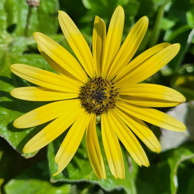 Photo 3 by Jochem W. (5/6/24)