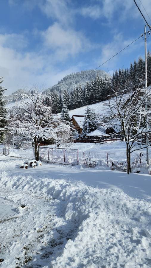 Photo 3 by Constantin-Lucian R. (11/27/24)